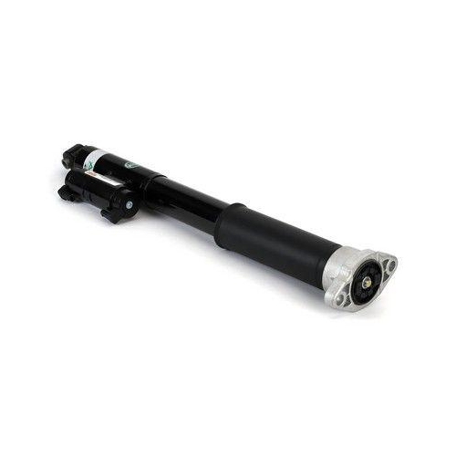 Arnott Stoßdämpfer SK-3389