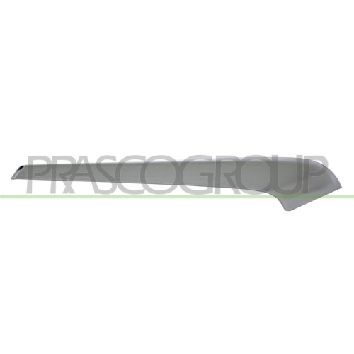 PRASCO Zier-/Schutzleiste, Sto&szlig;f&auml;nger MB1041233