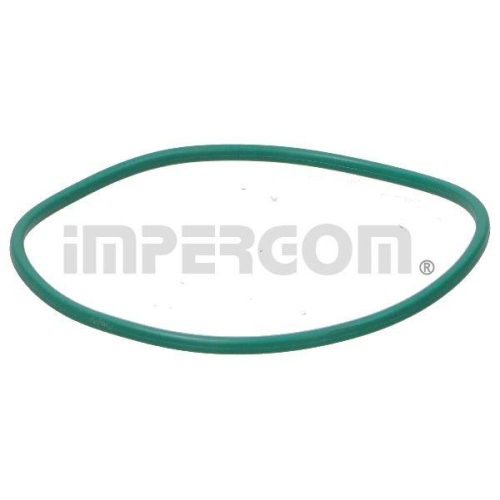ORIGINAL IMPERIUM Dichtung, Kraftstoffpumpe 25204