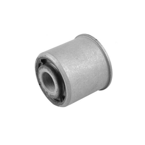 TEDGUM Lagerung, Panhardstab 01145698