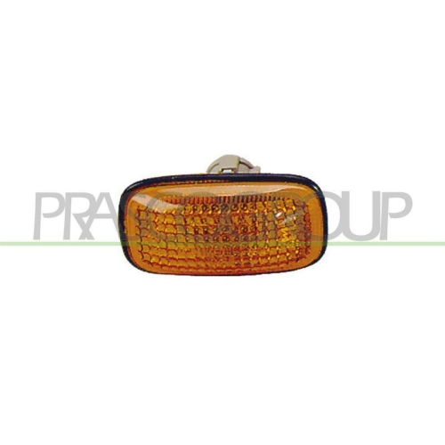 PRASCO Blinkleuchte DS4204139