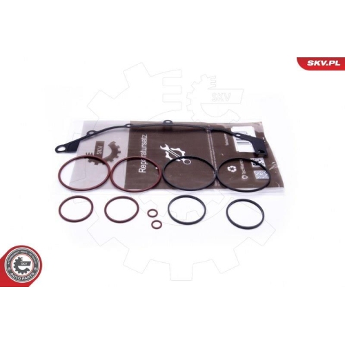 ESEN SKV Reparatursatz, Saugrohrmodul 96SKV400