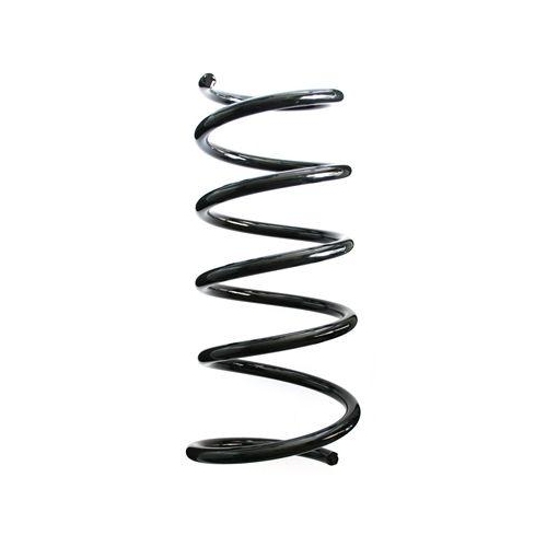 SPIDAN Fahrwerksfeder 87036