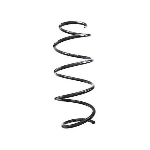 SPIDAN Fahrwerksfeder GKNW10242