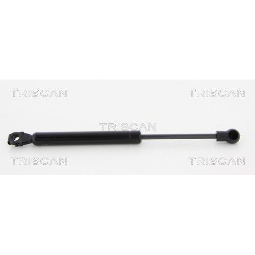 TRISCAN Gasfeder, Koffer-/Laderaum 8710 23228