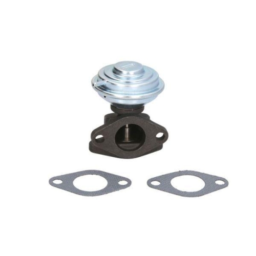 ENGITECH AGR-Ventil ENT500137