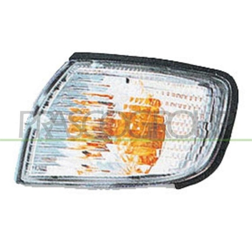 PRASCO Blinkleuchte TYC DS4224013