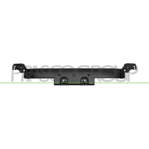 PRASCO Zier-/Schutzleiste, Sto&szlig;f&auml;nger MB1651235