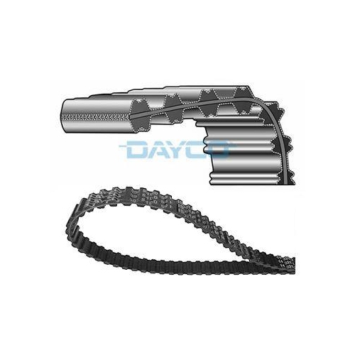 DAYCO Zahnriemen 94555