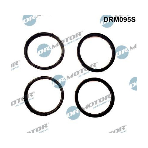 Dr.Motor Automotive Dichtungssatz, Ansaugkr&uuml;mmer DRM095S