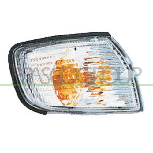 PRASCO Blinkleuchte TYC DS4224014