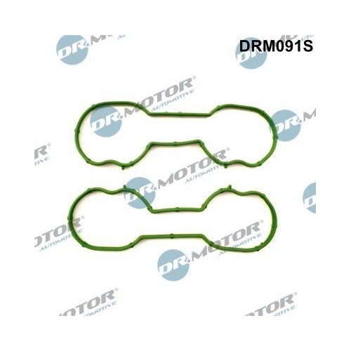 Dr.Motor Automotive Dichtungssatz, Ansaugkr&uuml;mmer DRM091S