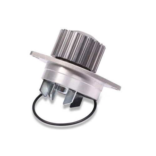 HEPU Wasserpumpe, Motork&uuml;hlung P812