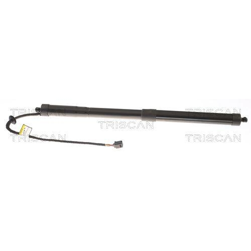 TRISCAN Gasfeder, Koffer-/Laderaum 8710 27310