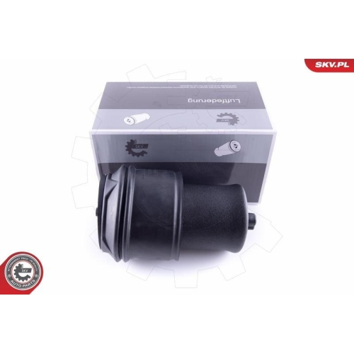 ESEN SKV Luftfeder, Fahrwerk