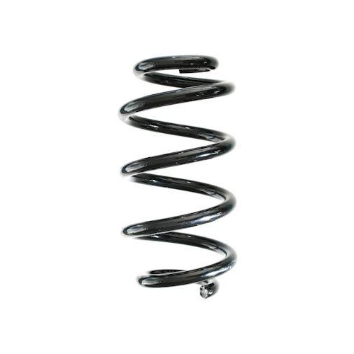 SPIDAN Fahrwerksfeder GKNW10250