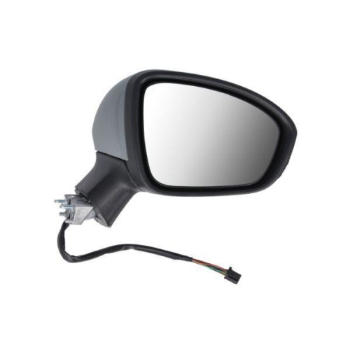 BLIC Au&szlig;enspiegel 5402-09-2313311P