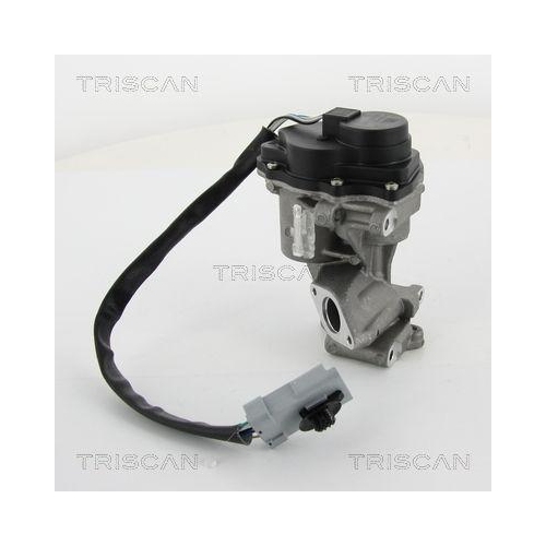 TRISCAN AGR-Ventil 8813 10202