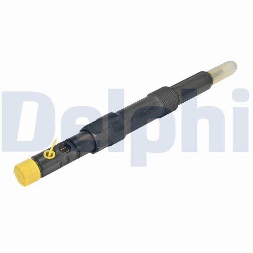DELPHI Einspritzventil R00601D-12B1