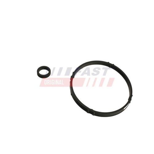 FAST Dichtring, &Ouml;lk&uuml;hler (Schmierung) FT48952