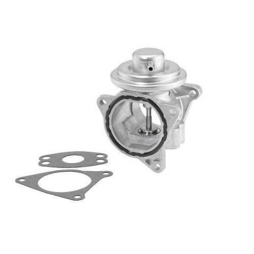 BorgWarner AGR-Ventil 7496D/1