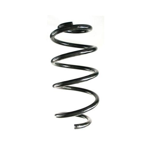 SPIDAN Fahrwerksfeder GKNW10253