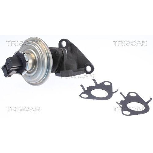 TRISCAN AGR-Ventil 8813 11010