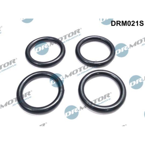 Dr.Motor Automotive Dichtung, Ansaugkr&uuml;mmer DRM021S