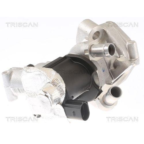 TRISCAN AGR-Ventil 8813 14006