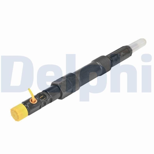 DELPHI Einspritzventil R00801D-12B1