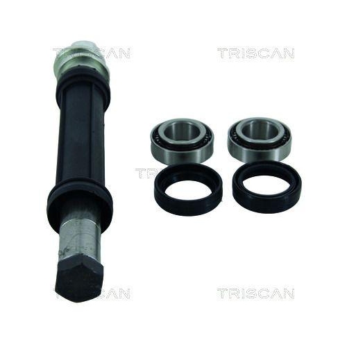 TRISCAN Reparatursatz, Querlenker 8500 38400