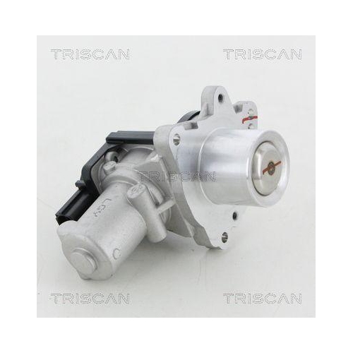 TRISCAN AGR-Ventil 8813 18045