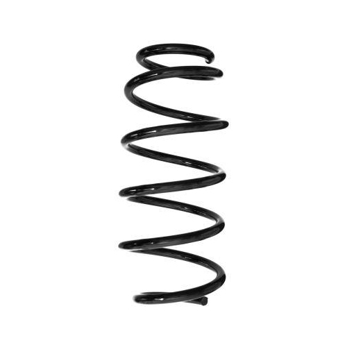 SPIDAN Fahrwerksfeder GKNW10195