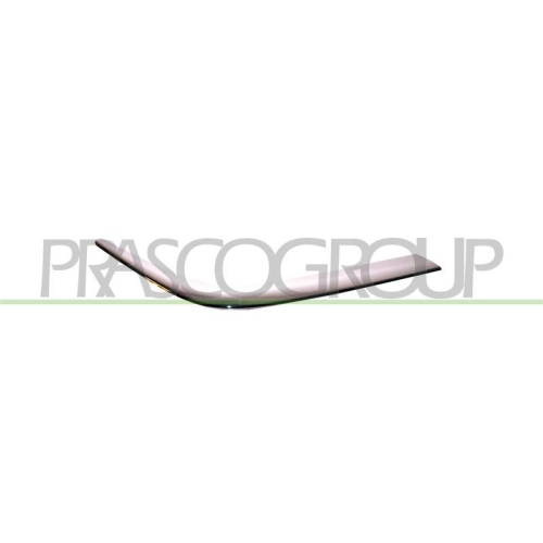 PRASCO Zier-/Schutzleiste, Sto&szlig;f&auml;nger ME0251245