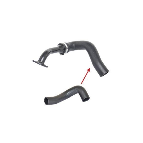 BUGIAD Ladeluftschlauch 88567