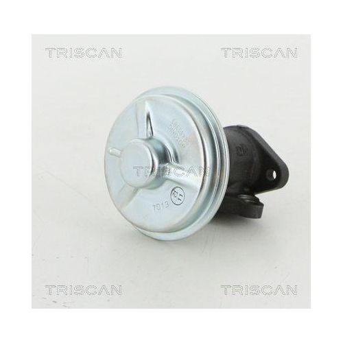 TRISCAN AGR-Ventil 8813 21002