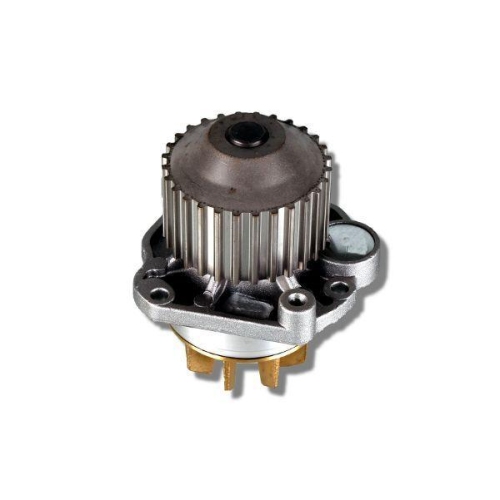HEPU Wasserpumpe, Motork&uuml;hlung P805