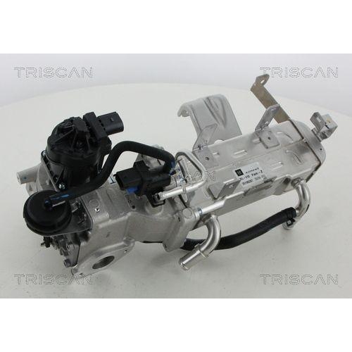 TRISCAN AGR-Ventil 8813 21010