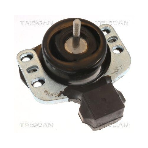 TRISCAN Lagerung, Motor 8505 10118