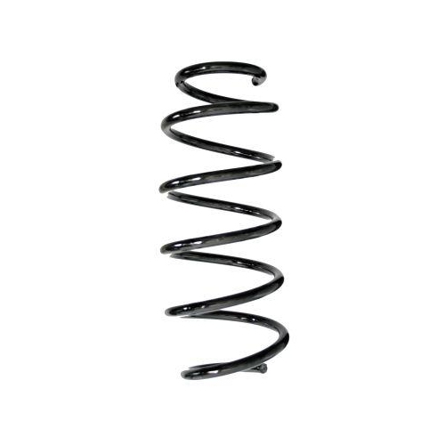 SPIDAN Fahrwerksfeder GKNW10197