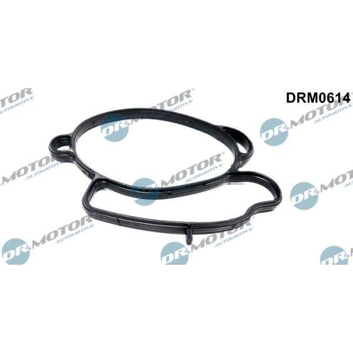 Dr.Motor Automotive Dichtung, Drosselklappenstutzen DRM0614