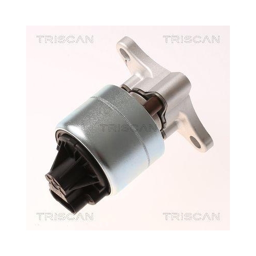 TRISCAN AGR-Ventil 8813 21026