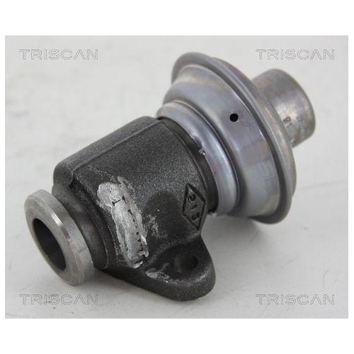 TRISCAN AGR-Ventil 8813 25006