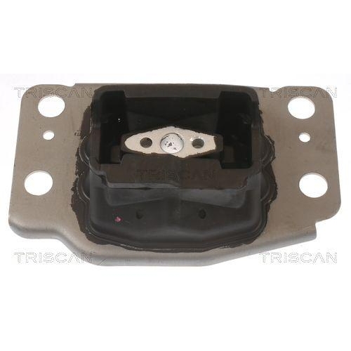 TRISCAN Lagerung, Motor 8505 10137