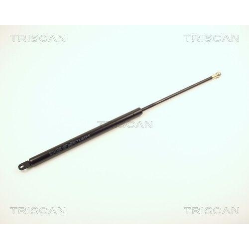 TRISCAN Gasfeder, Koffer-/Laderaum 8710 2910