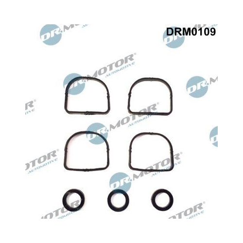 Dr.Motor Automotive Dichtungssatz, Ansaugkr&uuml;mmer DRM0109