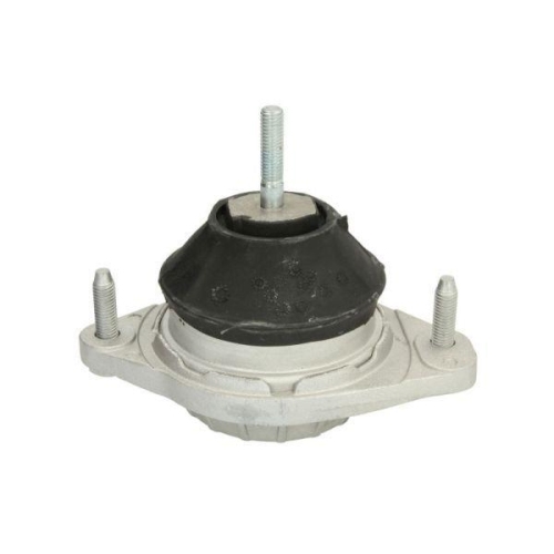 REINHOCH Lagerung, Motor RH11-0021