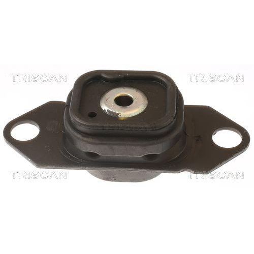 TRISCAN Lagerung, Motor 8505 10202