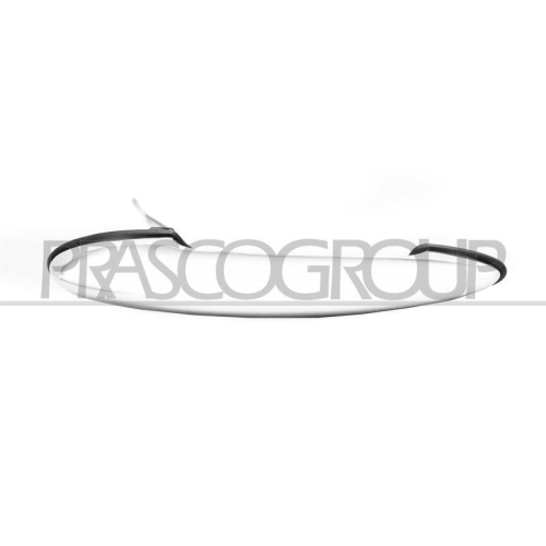 PRASCO T&uuml;rau&szlig;engriff MN3048005