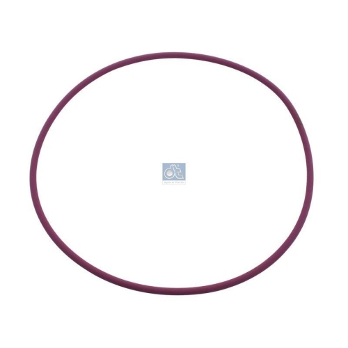 DT Spare Parts Dichtring 2.44102